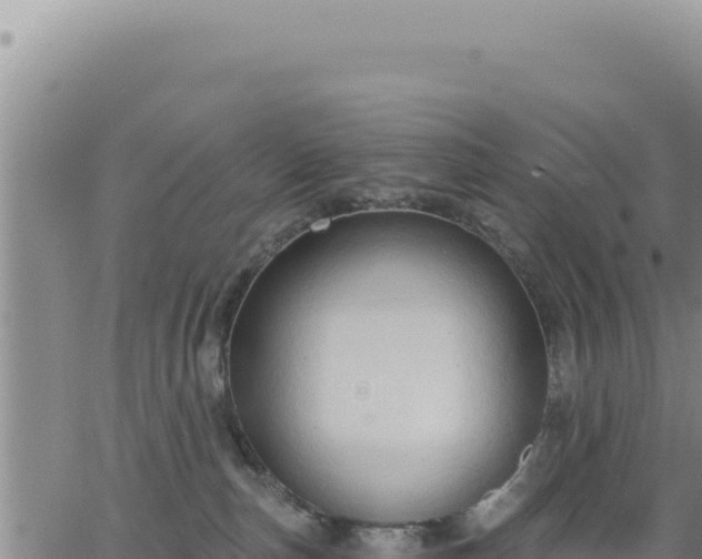 X0000063480187200601271704