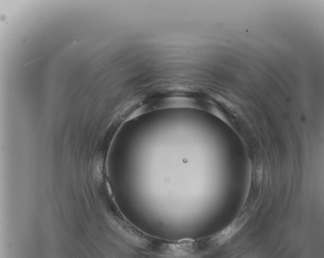 X0000063480188200601271704