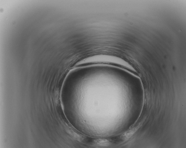 X0000063480189200601271704