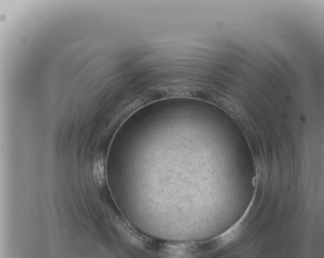 X0000063480190200601271704