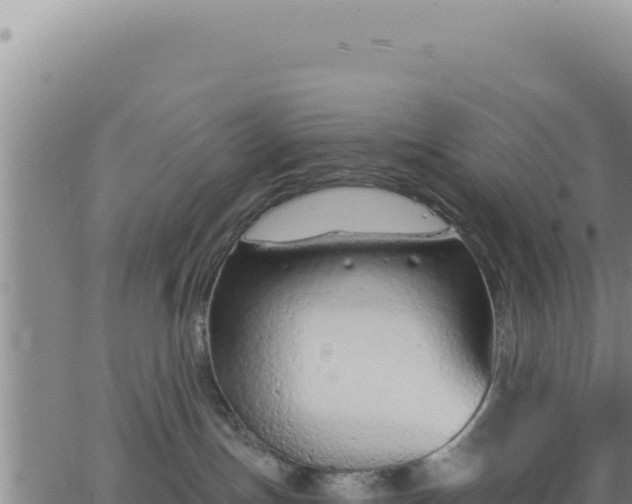 X0000063480191200601271704