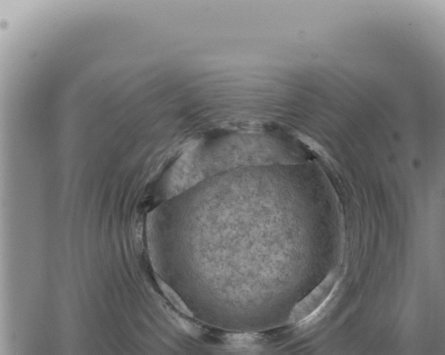 X0000063480192200601271704