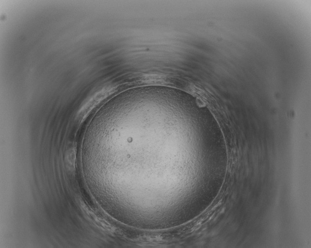 X0000063480194200601271703