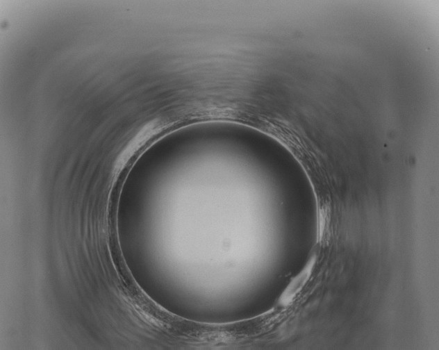 X0000063480195200601271703