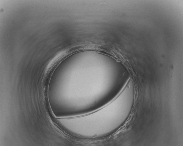 X0000063480197200601271703