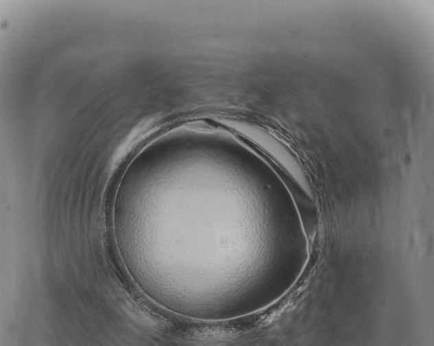 X0000063480198200601271703