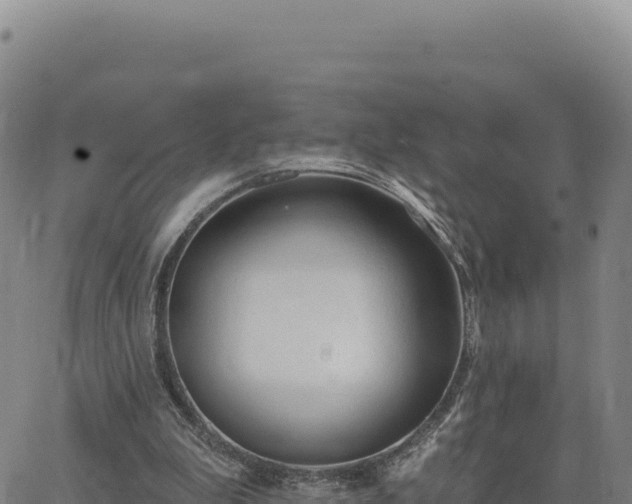 X0000063480199200601271703