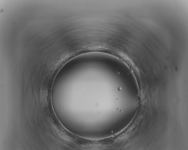 X0000063480201200601271703