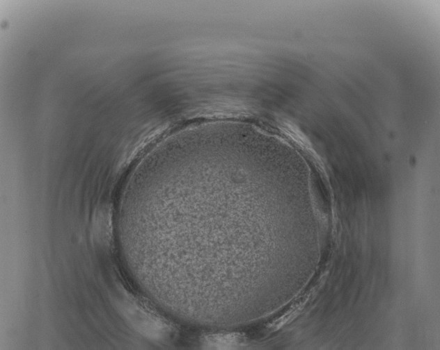 X0000063480202200601271703