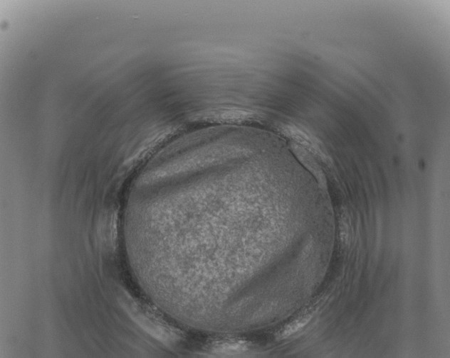 X0000063480206200601271703