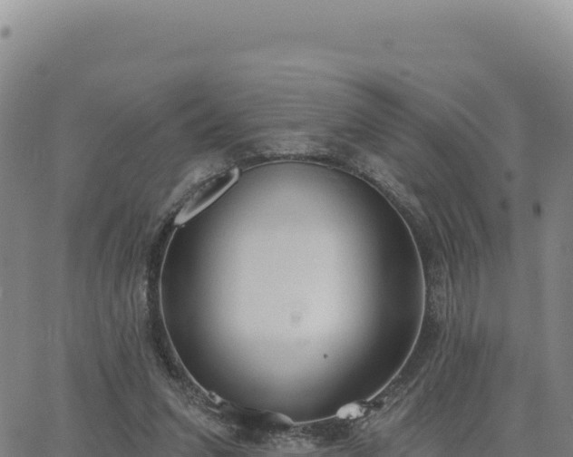 X0000063480207200601271703