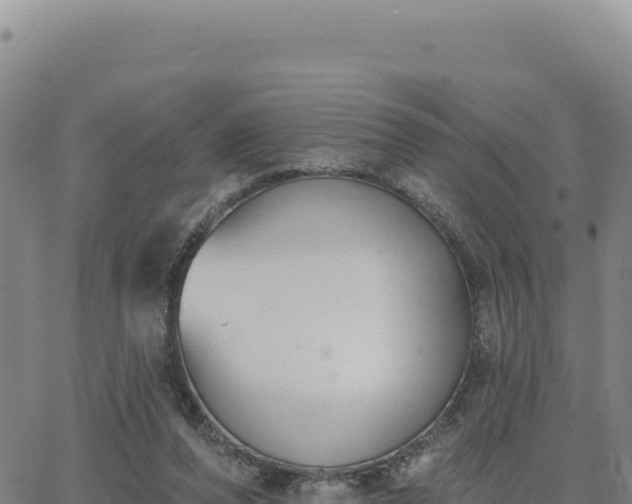 X0000063480208200601271703