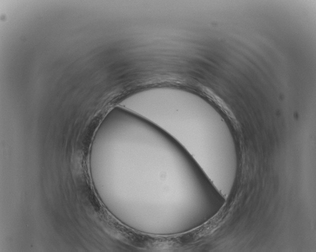 X0000063480209200601271703