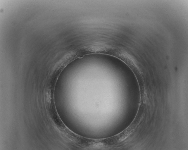 X0000063480210200601271703