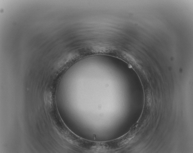 X0000063480211200601271703