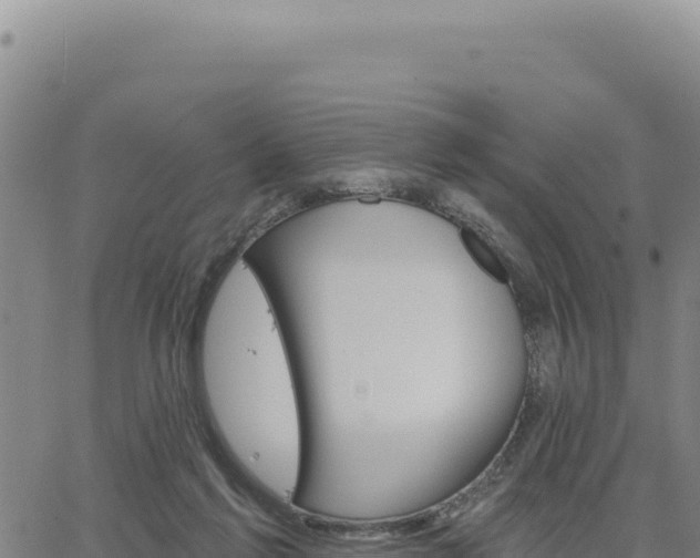 X0000063480213200601271703