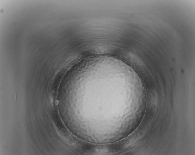 X0000063480214200601271703