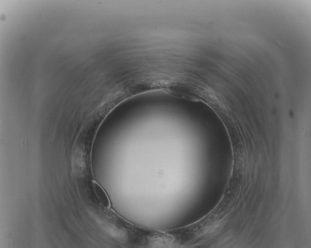 X0000063480215200601271703