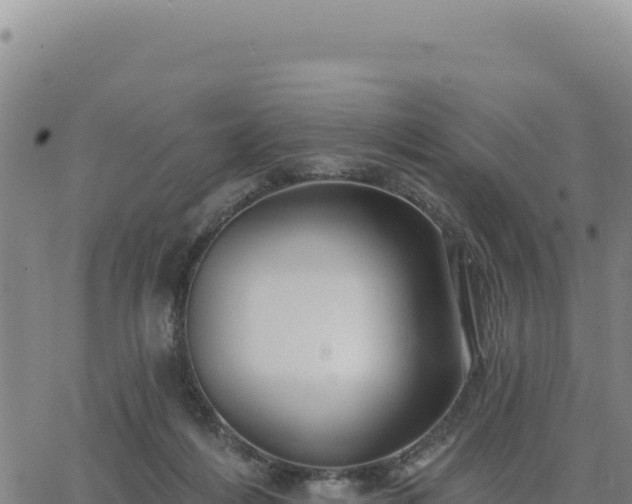 X0000063480216200601271703