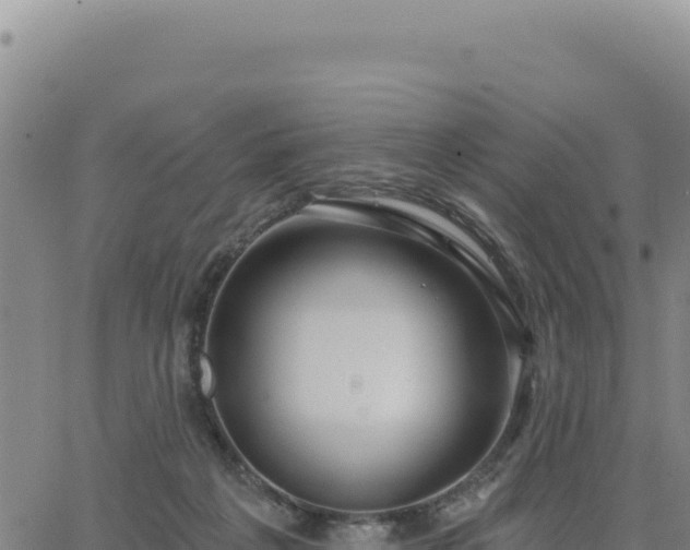 X0000063480217200601271703