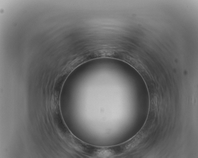 X0000063480218200601271703