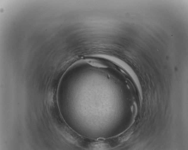 X0000063480219200601271703