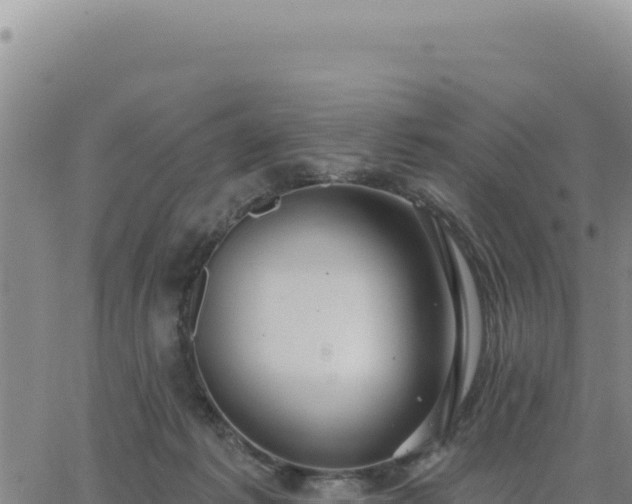 X0000063480221200601271703