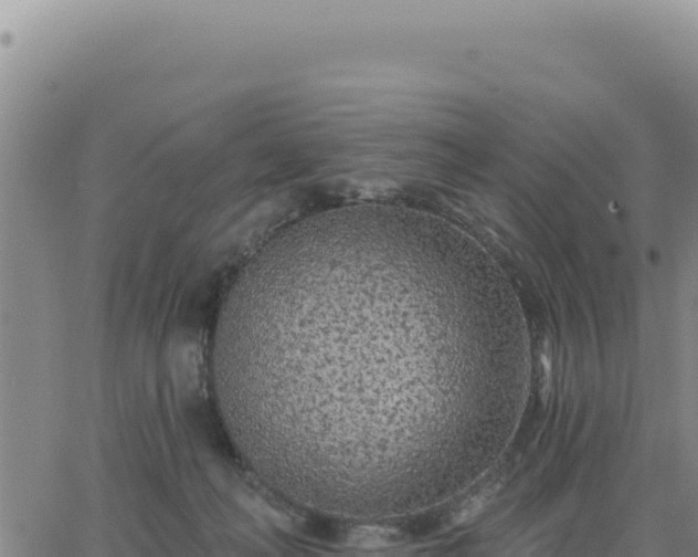 X0000063480222200601271703