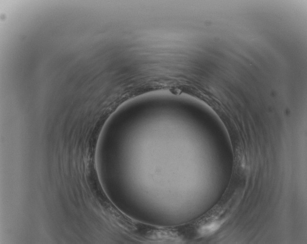 X0000063480223200601271703