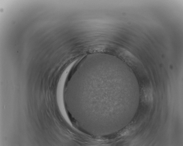 X0000063480224200601271703