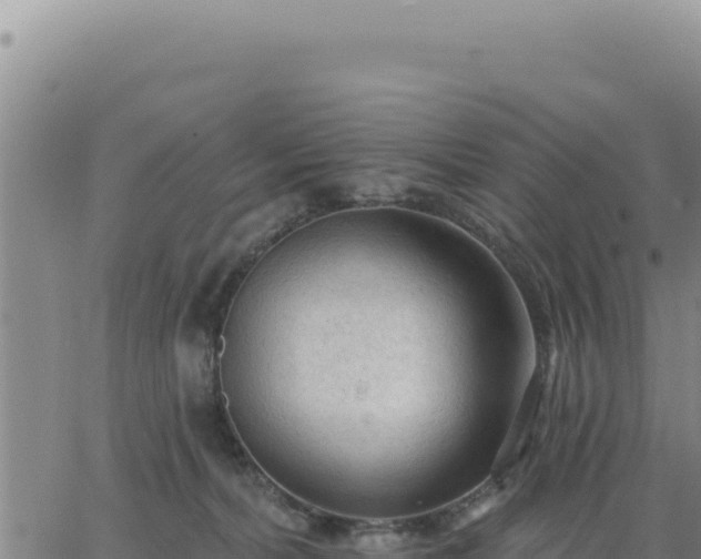 X0000063480228200601271703