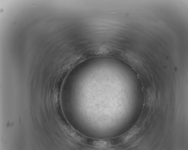 X0000063480230200601271703