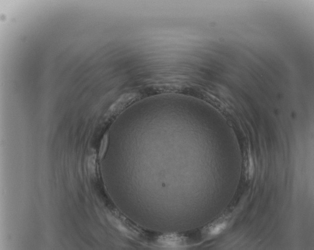 X0000063480231200601271703