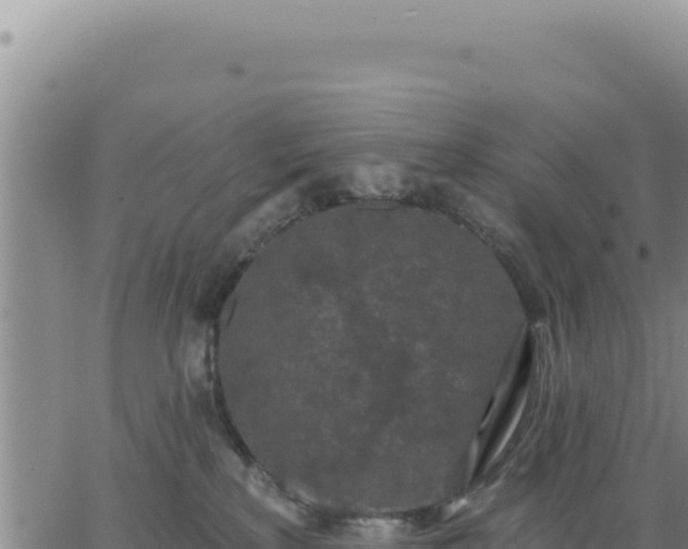 X0000063480233200601271703