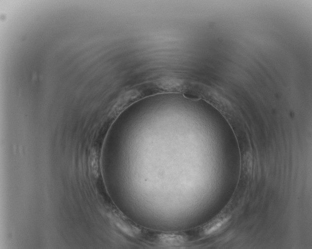 X0000063480234200601271702