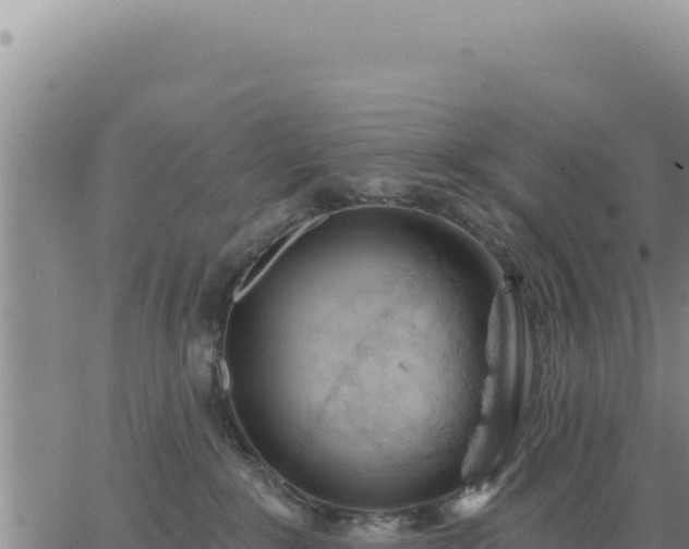 X0000063480235200601271702