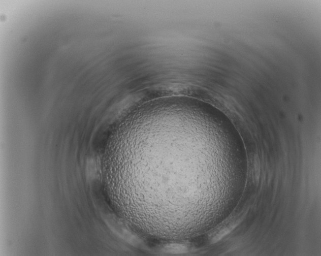 X0000063480236200601271702