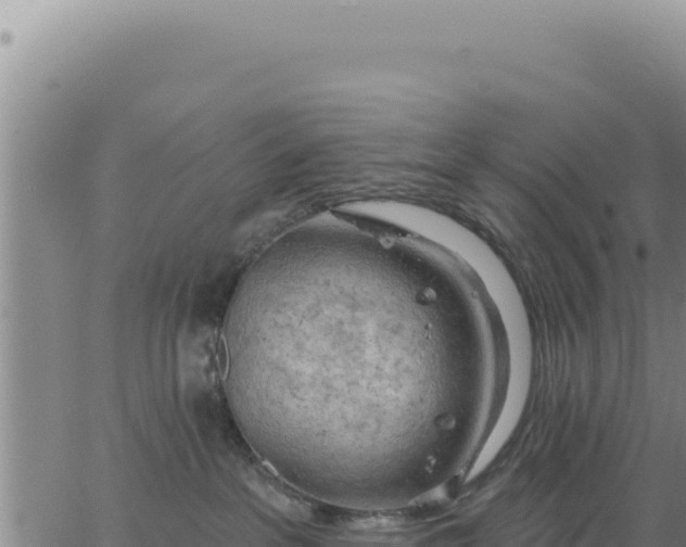 X0000063480237200601271702