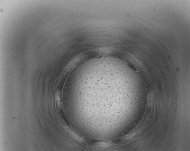 X0000063480238200601271702