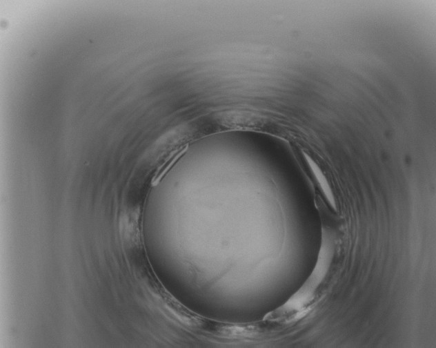 X0000063480239200601271702