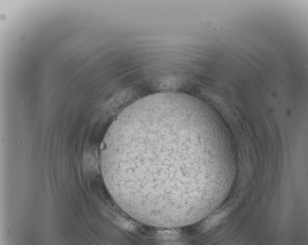 X0000063480240200601271702