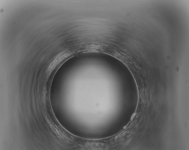 X0000063480242200601271702