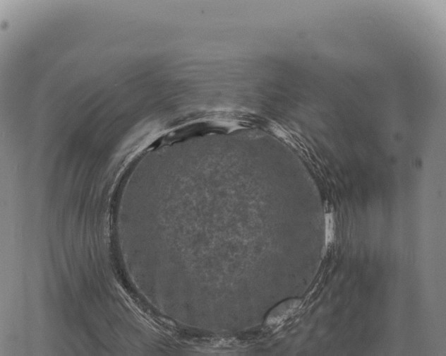 X0000063480243200601271702