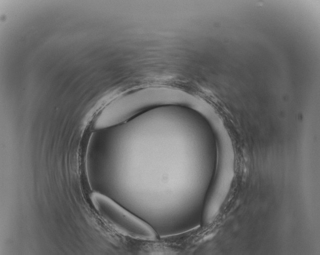 X0000063480244200601271702