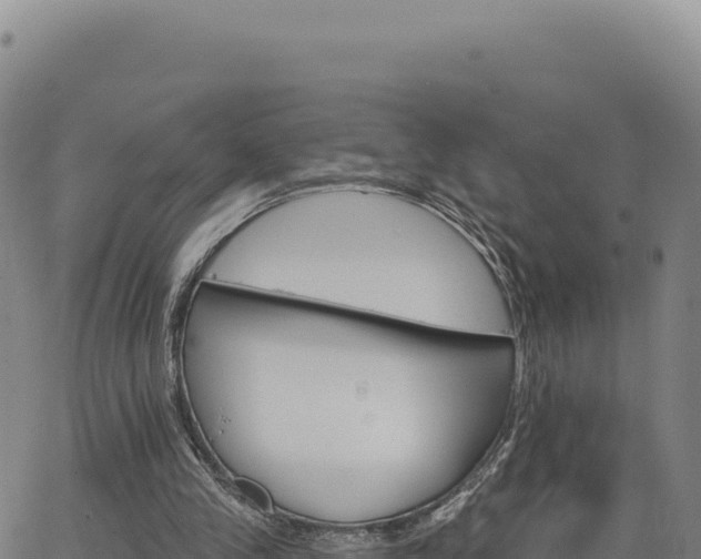 X0000063480245200601271702