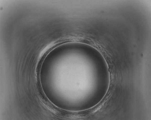 X0000063480246200601271702