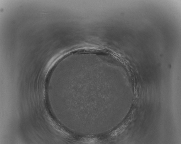 X0000063480247200601271702