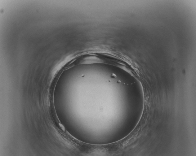 X0000063480248200601271702