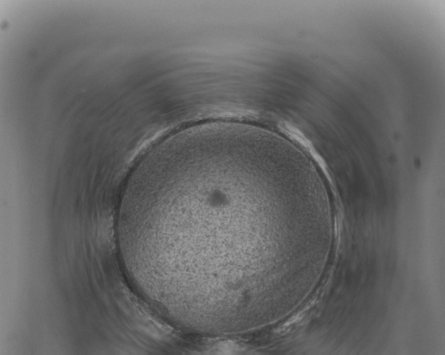 X0000063480249200601271702