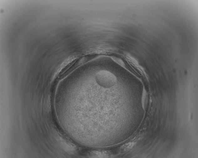 X0000063480250200601271702